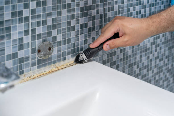 Best Certified Mold Removal  in Dunbar, WV